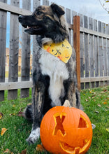 Load image into Gallery viewer, Totally Batty in Yellow