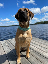 Load image into Gallery viewer, Geometric Green Collar