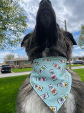 Load image into Gallery viewer, White Paws