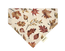 Load image into Gallery viewer, Falling for fall