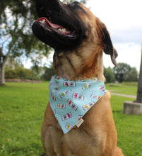 Load image into Gallery viewer, White Paws