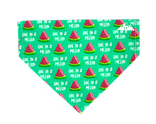Load image into Gallery viewer, One in a Melon