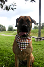Load image into Gallery viewer, Autumn Plaid