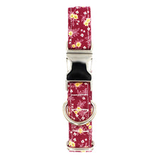 Load image into Gallery viewer, Magenta Sunrise Collar