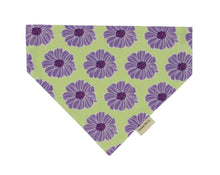 Load image into Gallery viewer, The Mystery Machine Reversible Bandanas