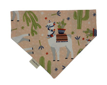 Load image into Gallery viewer, Not so Easter Cactus Reversible Bandana