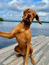 Load image into Gallery viewer, Running Paws Collar