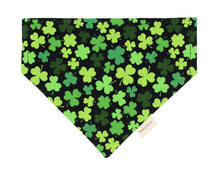 Load image into Gallery viewer, Luck of the Irish