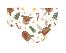 Load image into Gallery viewer, Reindeer Toss