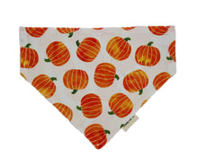 Load image into Gallery viewer, Pumpkin Patch