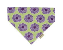 Load image into Gallery viewer, The Mystery Machine Reversible Bandanas
