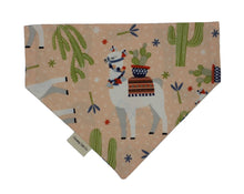 Load image into Gallery viewer, Not so Easter Cactus Reversible Bandana
